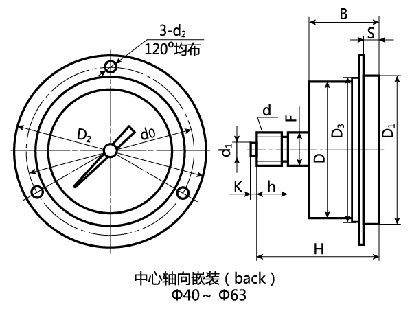 ZT-中心轴向带前法兰边嵌装式（V）